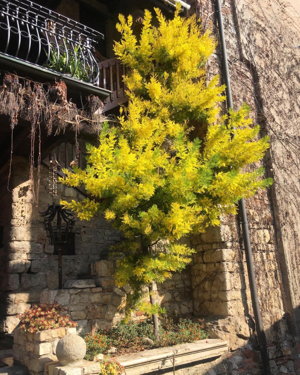 GussagoTorre De Salis住宿加早餐旅馆 外观 照片